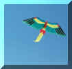 parrot1.jpg (38018 bytes)